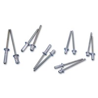 Bralo Popnagel multigrip 4 x 12.5mm (500 stuks) Popnagel multigrip 4 x 12.5mm (500 stuks)