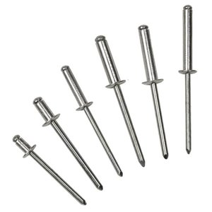 Bralo Popnagel 4,8 x 21 mm (250 stuks)
