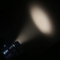 TS 200 WW theaterspot warm wit