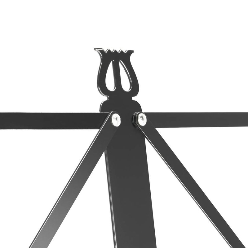 SMS11 Muzieklessenaar