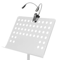 Dubbele LED zwanenhalslampjes op batterijen