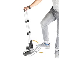 Inklapbare steekwagen