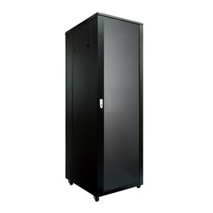 Caymon SPR842 19 inch kast met deur 42 HE 80cm