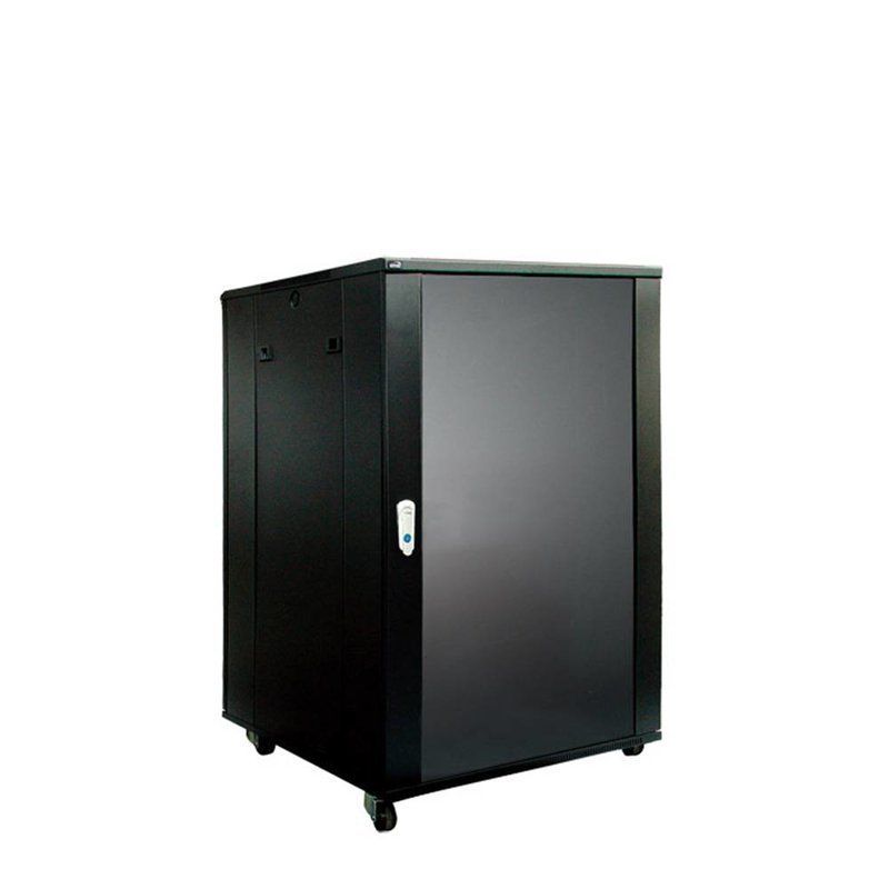 SPR618 19 inch kast met deur 18 HE 60cm