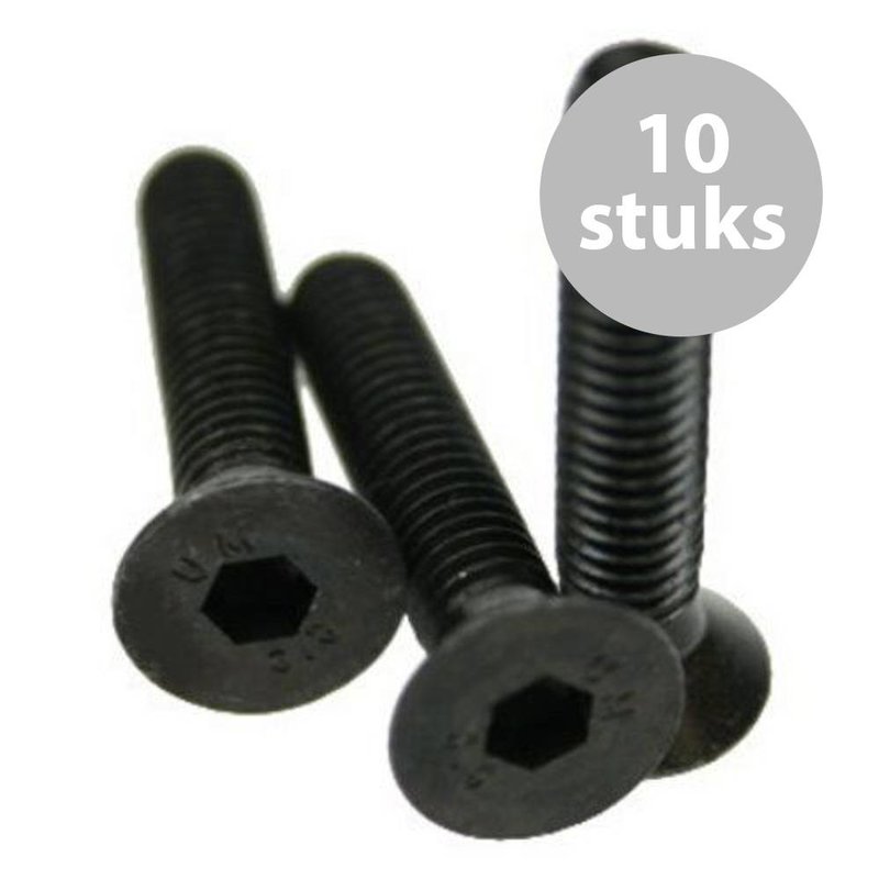 M6x30mm conische bout (10 stuks)