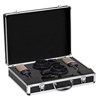 C314 Stereo grootmembraan studio condensator microfoon (set van 2)