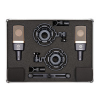 C314 Stereo grootmembraan studio condensator microfoon (set van 2)