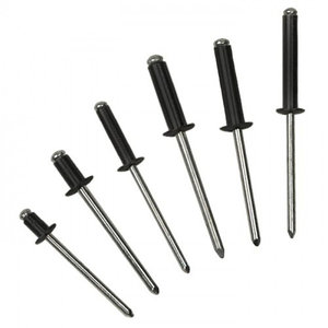 Bralo Popnagel 4,8 x 16 mm zwart (250 stuks) Bralo Popnagel 4,8 x 16 mm zwart (250 stuks)