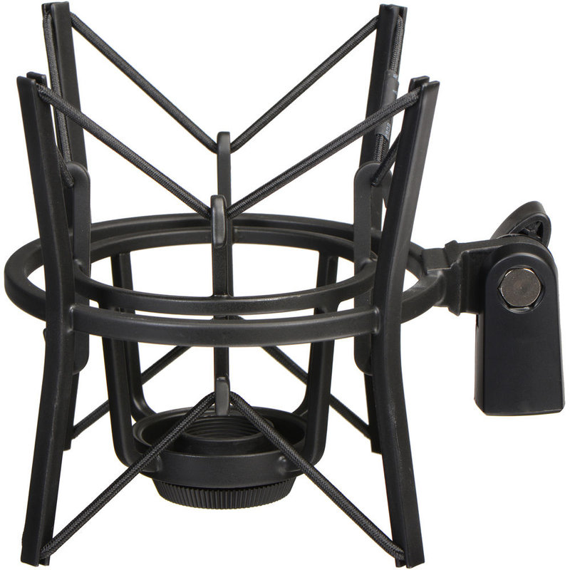 P420 Grootmembraan condensator microfoon