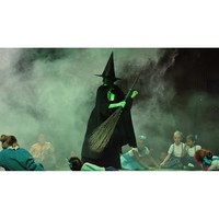 Hurricane Haze 1DX hazer