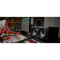 Eris E66 actieve studiomonitor (per stuk)