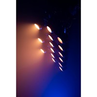 Showtec Stage Blinder 1 LED 80W CW WW Stage Blinder 1 LED 80W CW WW