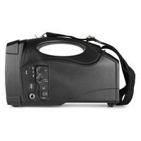 ST014 draadloos PA systeem met microfoon