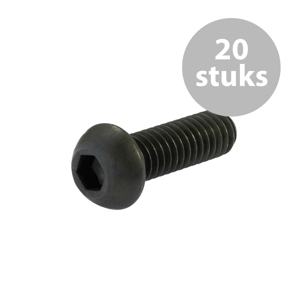 M3x10mm inbusboutje (20 stuks) afbeelding