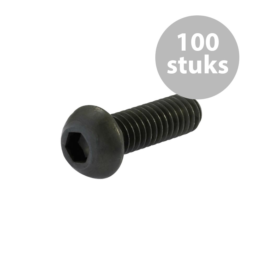 M3x10mm inbusboutje (100 stuks) afbeelding