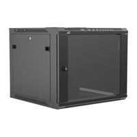 WPR609R/B 19 inch kast met deur 9 HE 60cm