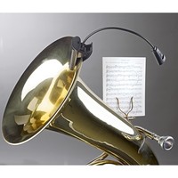 12242 2 LED Flexlight lessenaarlamp