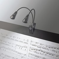 12243 Double LED Flexlight lessenaarlamp