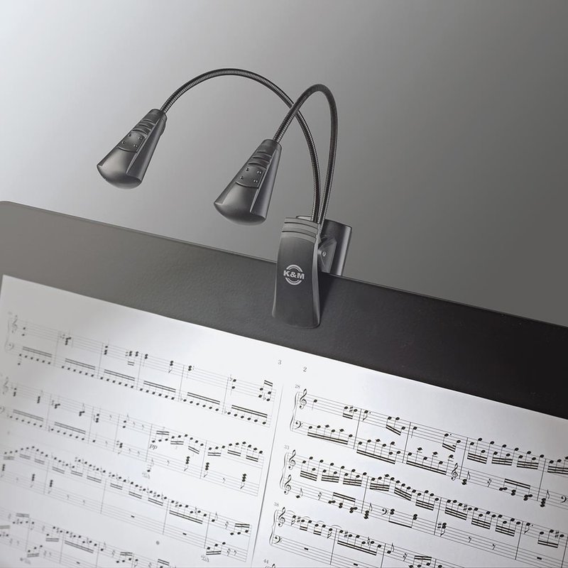 12243 Double LED Flexlight lessenaarlamp