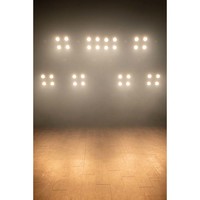 Stage Blinder 4 LED 4x dual white COB 80W