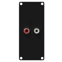Caymon CASY132/B 2x RCA naar terminal plaatje 1 space CASY132/B 2x RCA naar terminal plaatje 1 space