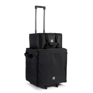 LD Systems Dave 10 G4X Bag Set transportset