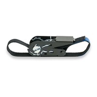 Spanband SR252 25mm 2m