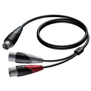 XLR