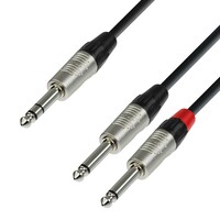4 Star YVPP 0150 Rean verloopkabel 1x stereo jack naar 2x mono jack 1,5m
