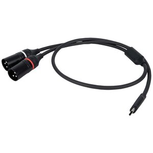 DAP FL112 verloopkabel USB-C naar 2x XLR male 3-polig 75cm