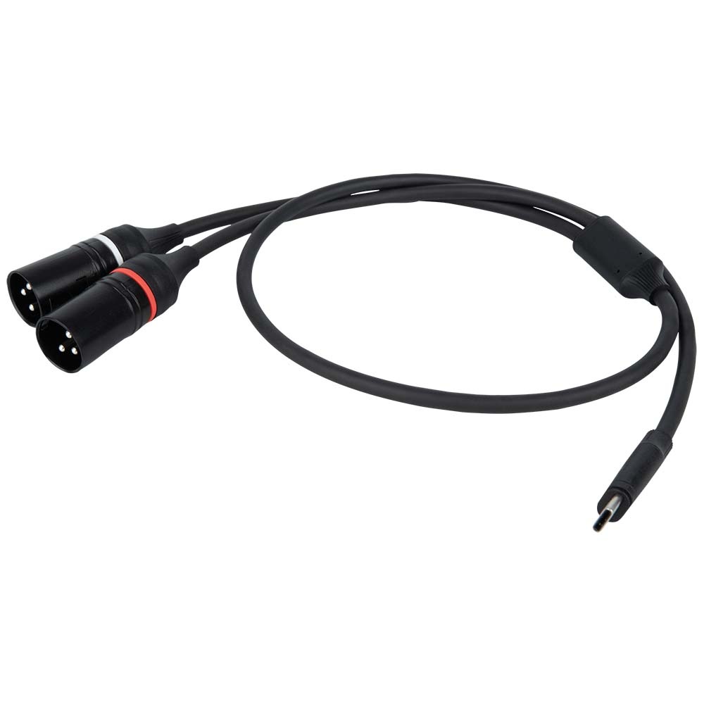 DAP FL112 verloopkabel USB-C naar 2x XLR male 3-polig 75cm afbeelding