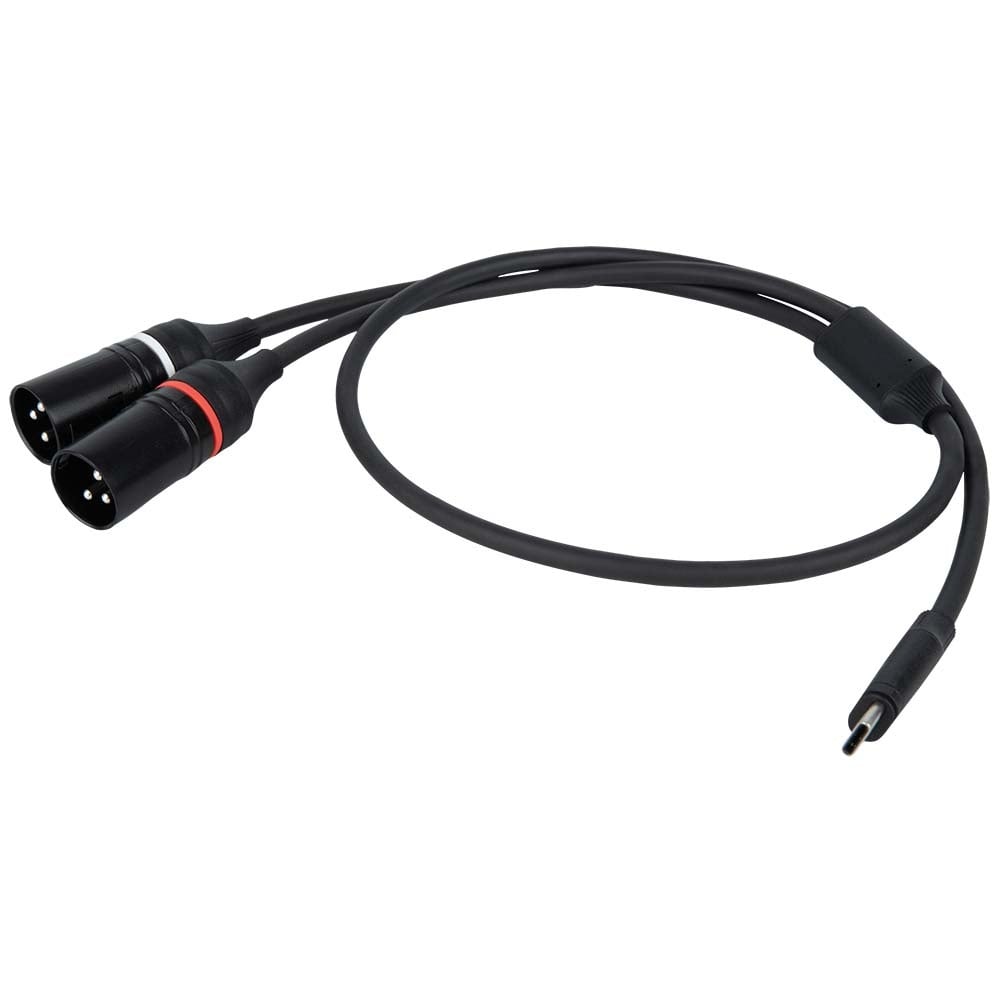 DAP FL112 verloopkabel USB-C naar 2x XLR male 3-polig 150cm afbeelding