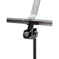 10065 Muzieklessenaar