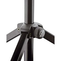 10065 Muzieklessenaar