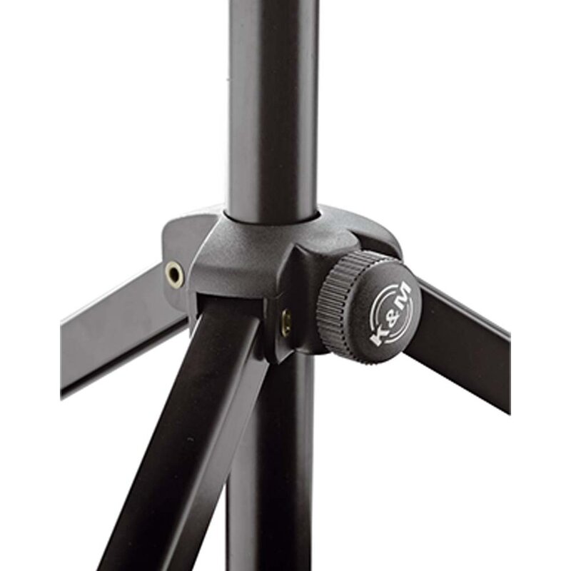 10065 Muzieklessenaar