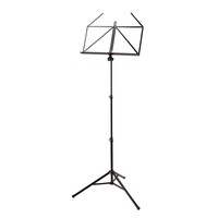 10065 Muzieklessenaar