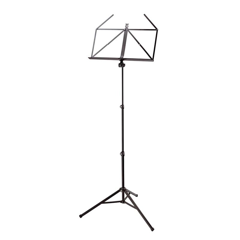 10065 Muzieklessenaar