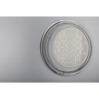 LED UV-GUN COB LED 100W