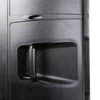 IPS-10 passieve speaker 10 inch