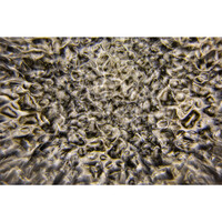 JB Systems DELUSION multi-effect projector DELUSION multi-effect projector