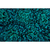 JB Systems DELUSION multi-effect projector DELUSION multi-effect projector