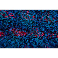 JB Systems DELUSION multi-effect projector DELUSION multi-effect projector