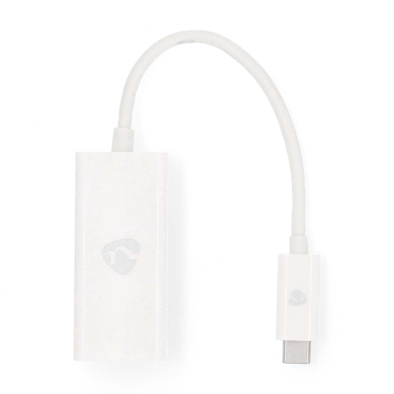Netwerkadapter USB-C Male naar RJ45 Female 20cm