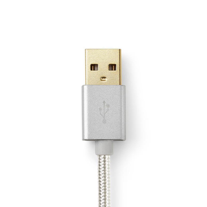 USB 2.0 Kabel A naar C 2 m zilver