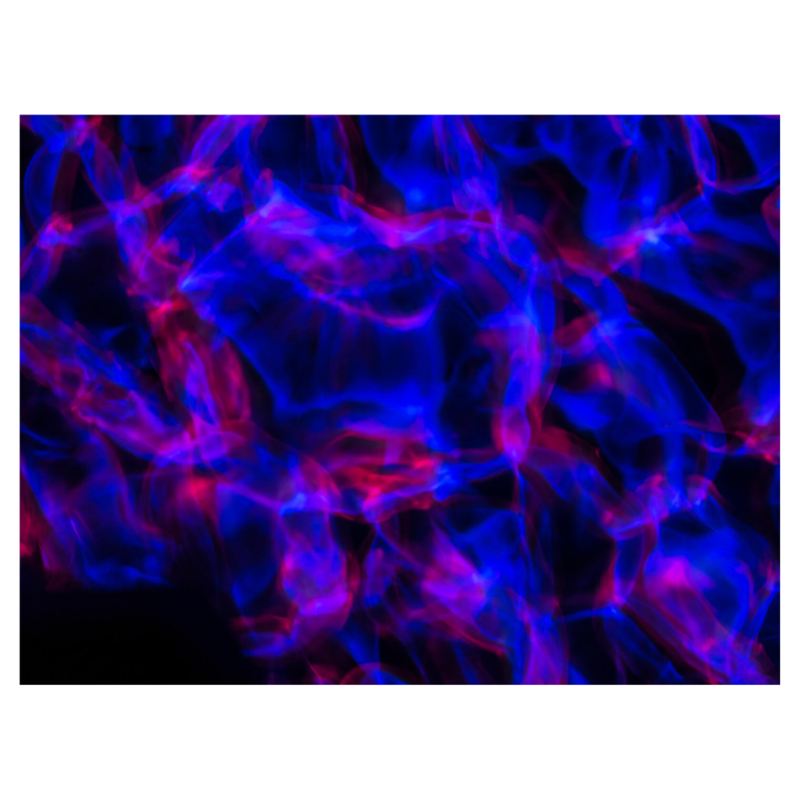 LED WF-40 Watereffect projector RGBW & DMX