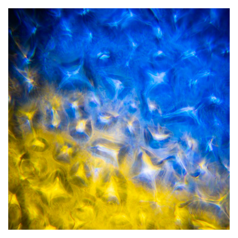 ADJ H2O TWO IR Water-lichteffect projector H2O TWO IR Water-lichteffect projector