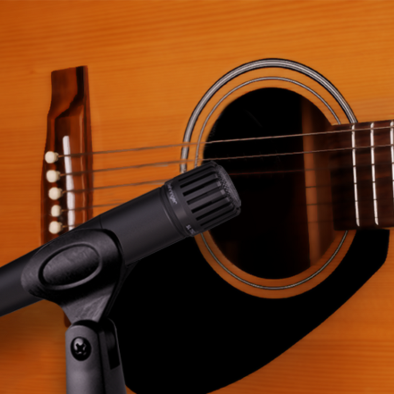 SL 75C Dynamische microfoon