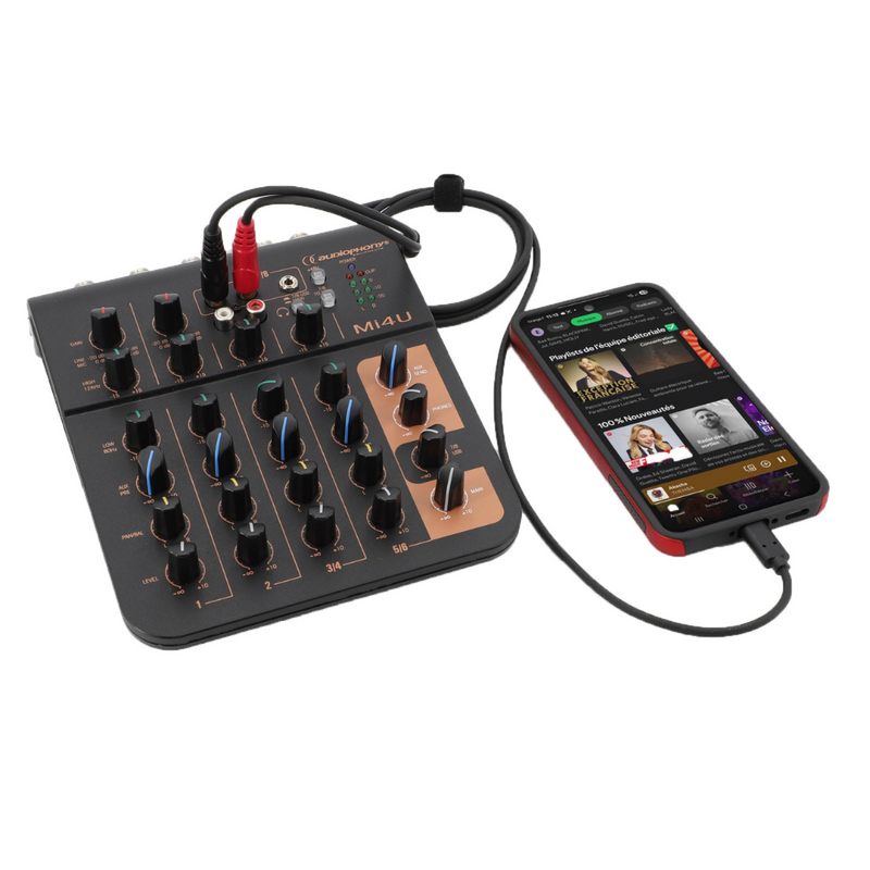 USB-C naar 2x RCA male kabel 2m