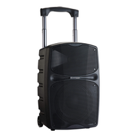 RACER120 Evo Draagbare speaker op accu 6 inch