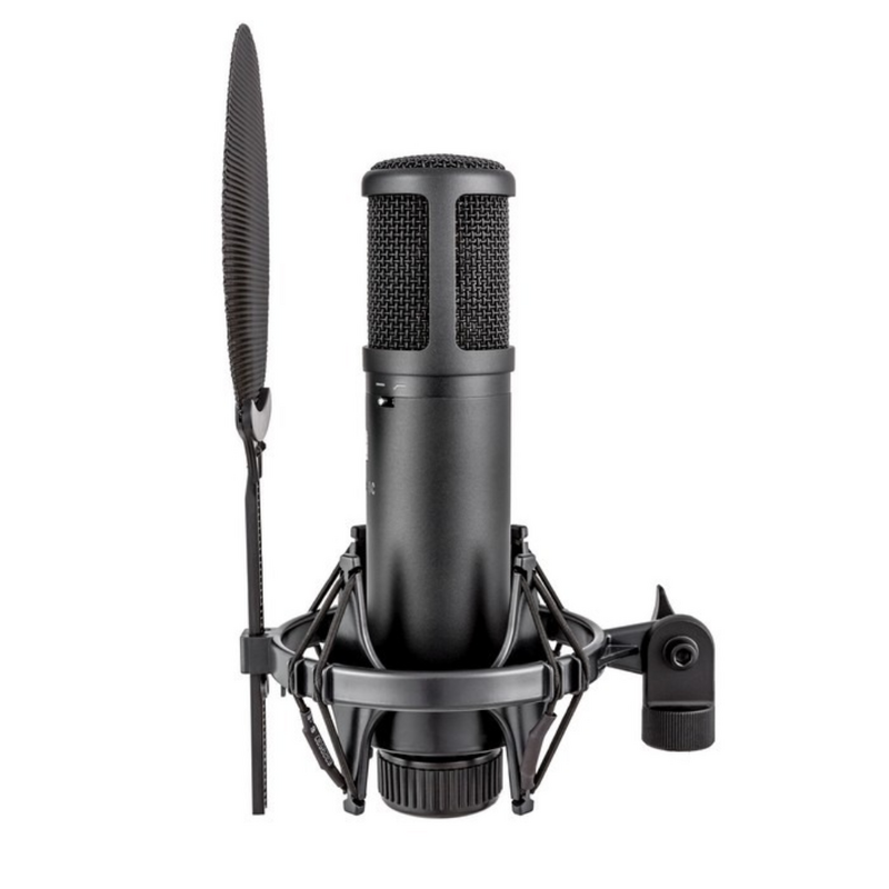 SE2200 Grootmembraan condensator microfoon